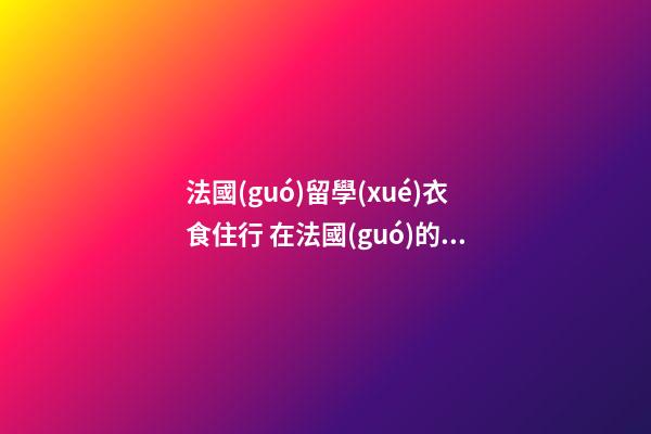 法國(guó)留學(xué)衣食住行 在法國(guó)的怎么買(mǎi)車(chē)